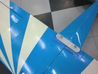 クリプトウィングカブ