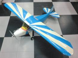 クリプトウィングカブ