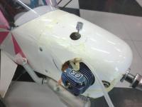 クリプトウィングカブ