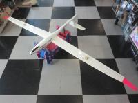DG-1000