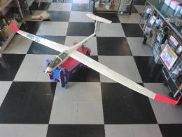 DG-1000
