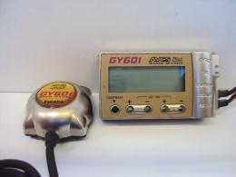 GY601