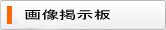 画像掲示板